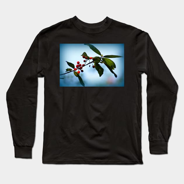 probably chokecherries 2 Long Sleeve T-Shirt by DlmtleArt